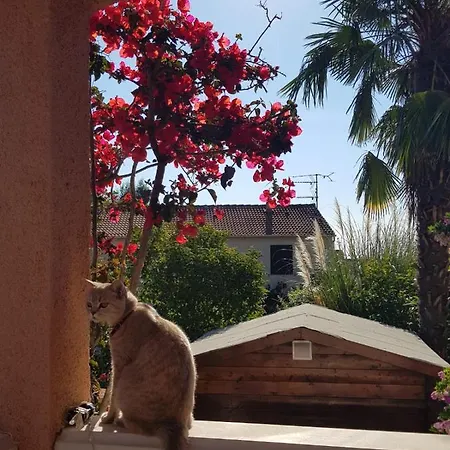 Bed & Breakfast Chez Melissa